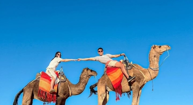 Excursión gratuita por el casco antiguo de Marrakech Marruecos &mdash; #5