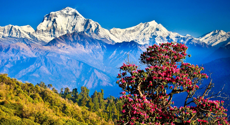 Trekking a Ghorepani Poon Hill en Pokhara Nepal — #2