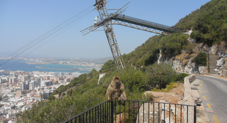 Gibraltar Upper Rock Wandertour Bereitgestellt von Stephen Hill ( Walk Gibraltar ) 