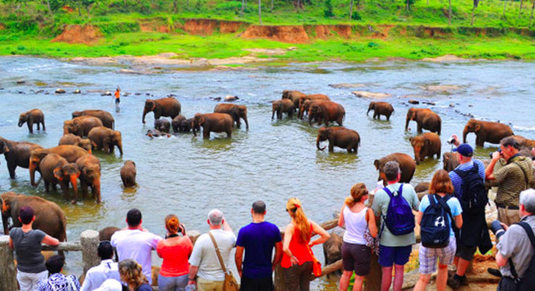 Private Kandy Day Tour in Sri Lanka Sri Lanka &mdash; #2