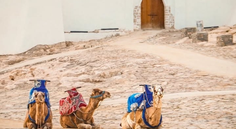 Tour a piedi di Agadir Oufella e Marina  Marocco &mdash; #3