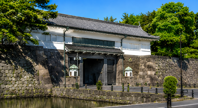 culinary-cultural-journey-through-tsukiji-ginza-es-5