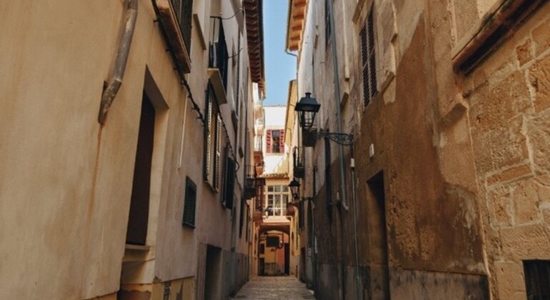 Visita gratuita às Três Culturas em Palma de Maiorca Espanha — #2