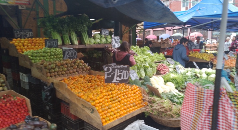 free-tour-local-markets-of-valparaiso-es-22