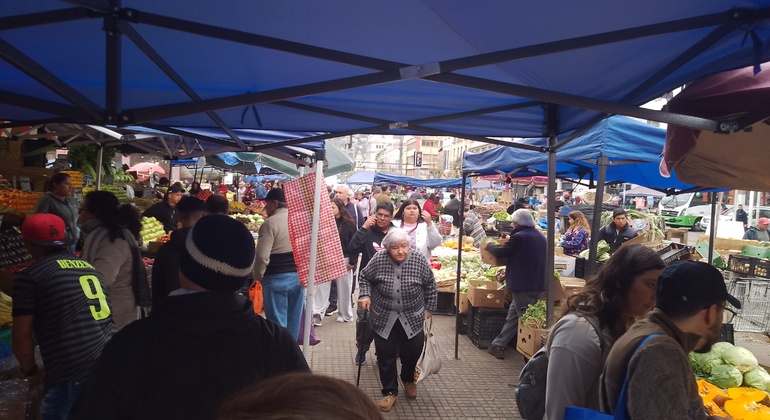 free-tour-local-markets-of-valparaiso-es-23