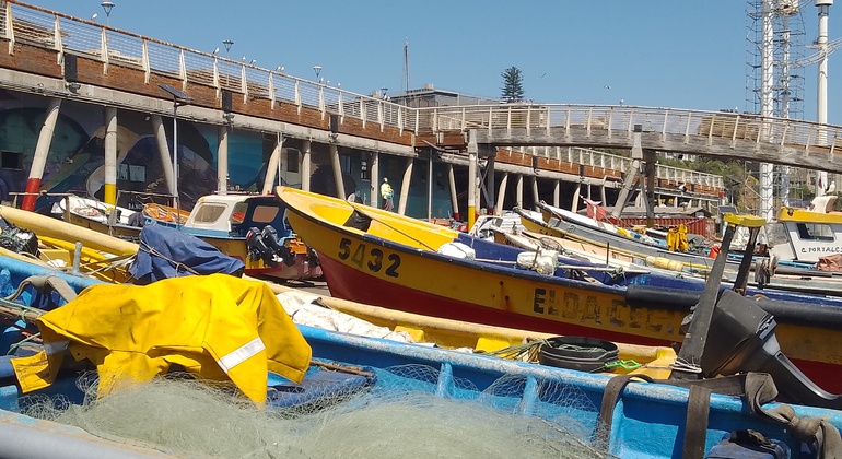 free-tour-local-markets-of-valparaiso-es-24