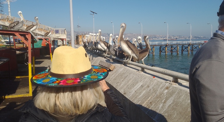 free-tour-local-markets-of-valparaiso-es-31