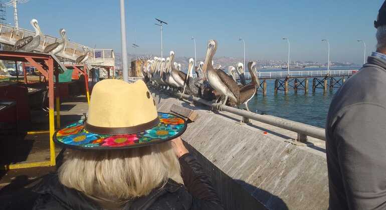 free-tour-local-markets-of-valparaiso-es-1