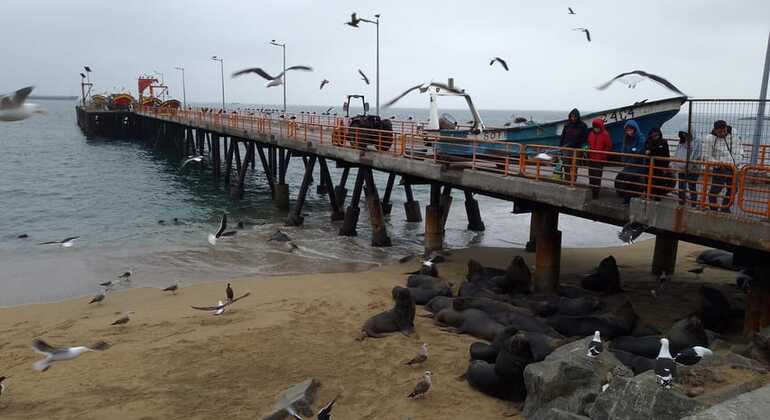 free-tour-local-markets-of-valparaiso-es-3