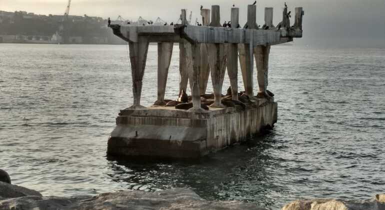 free-tour-local-markets-of-valparaiso-es-5