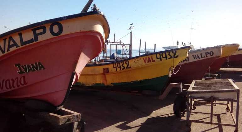 free-tour-local-markets-of-valparaiso-es-8
