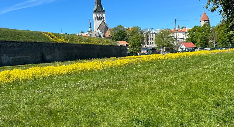 Visita guiada gratuita à magia oculta de Tallinn Estónia — #7