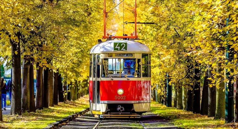 Visita guidata: Castello di Praga, Cattedrale di Praga, Palazzo Reale e Via dell'Oro Repubblica Ceca — #6