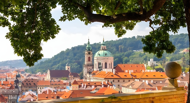 Visita guidata: Castello di Praga, Cattedrale di Praga, Palazzo Reale e Via dell'Oro Repubblica Ceca — #10