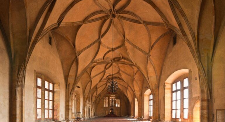 Visita guidata: Castello di Praga, Cattedrale di Praga, Palazzo Reale e Via dell'Oro Repubblica Ceca — #5