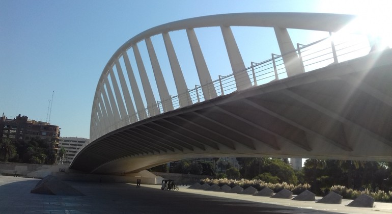 Tour of The City of Arts and Sciences in Valencia Spain — #3
