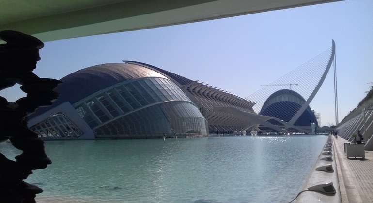Tour of The City of Arts and Sciences in Valencia Spain — #15
