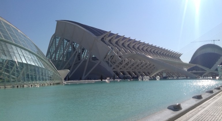 Tour of The City of Arts and Sciences in Valencia Spain — #18