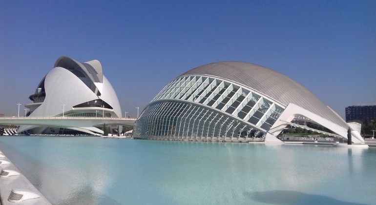 Tour of The City of Arts and Sciences in Valencia Provided by Enrique Alapont Asins
