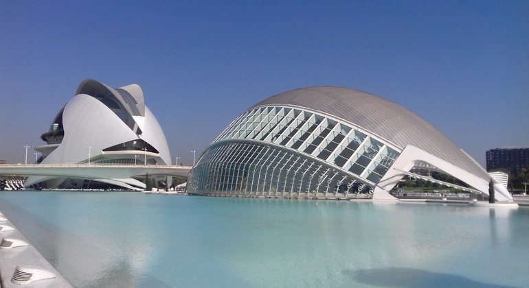 Besichtigung der Stadt der Künste und Wissenschaften in Valencia  Bereitgestellt von Enrique Alapont Asins