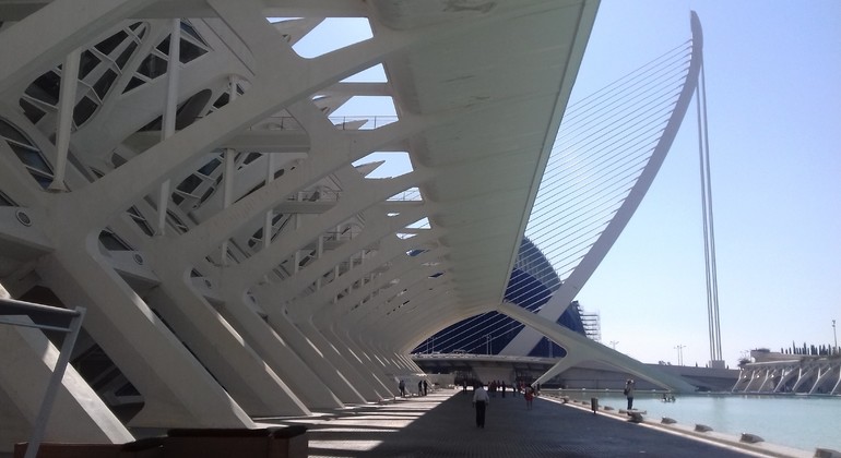 Tour of The City of Arts and Sciences in Valencia Spain — #21