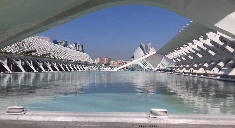 Tour of The City of Arts and Sciences in Valencia Spain — #22