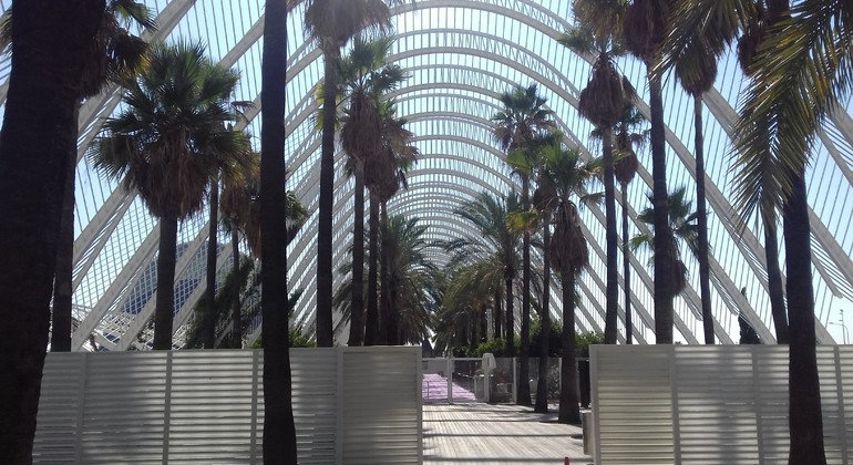 Tour of The City of Arts and Sciences in Valencia Spain — #29