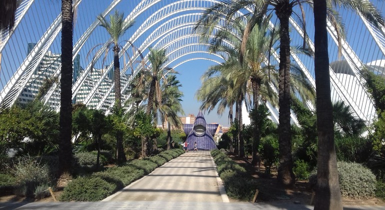 Tour of The City of Arts and Sciences in Valencia Spain — #30