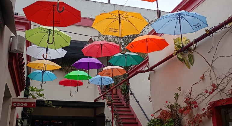 free-tour-mercado-san-telmo-5
