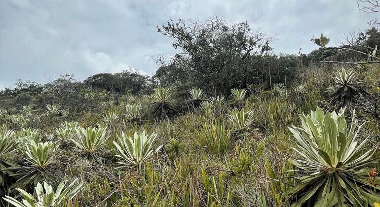 Mystical Guatavita Lagoon and El Dorado Legend Tour Colombia &mdash; #2