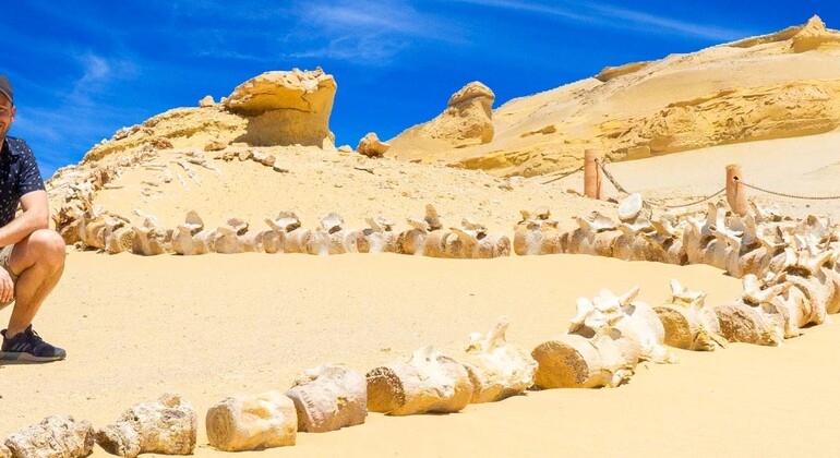 Fayoum Oasis Sandboarding & 4WD Desert Adventure Egypt — #8