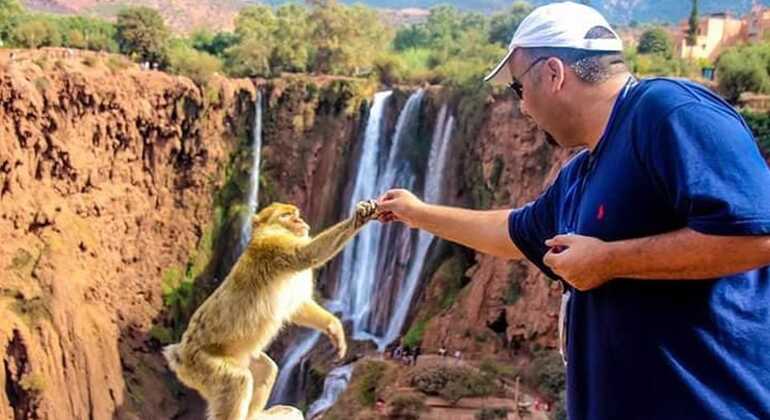Geführte Wanderung und Bootstour zu den Ouzoud-Wasserfällen Marokko — #10