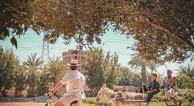Visita guiada gratuita a los pueblos de los alrededores de Luxor y a la vida de los agricultores