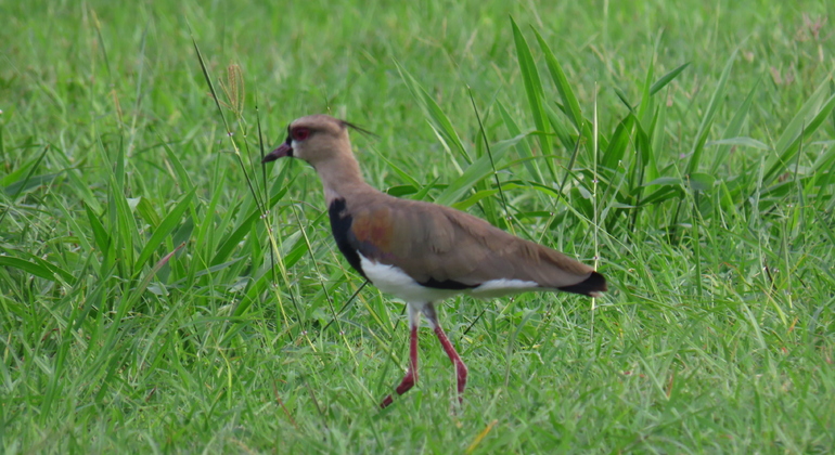 nightlife-history-at-the-colonial-district-es-5