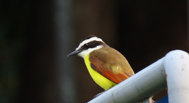 nightlife-history-at-the-colonial-district-es-6