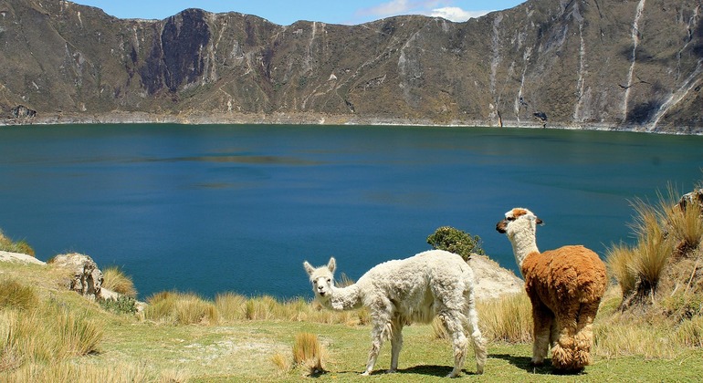 Quilotoa Lagoon and Indian Markets in One Day from Quito