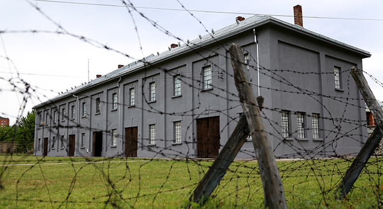 Day Trip: Sofia - Nis, Serbia Bulgaria — #4