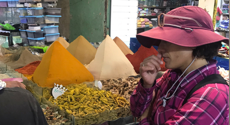 Tour História e Cultura de Rabat Marrocos — #14