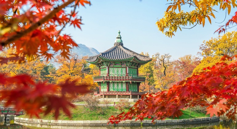 nami-Island-chuncheon-day-trip-from-seoul-en-2