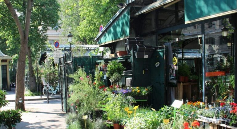 ile-de-la-cite-notre-dame-walking-tour-en-3