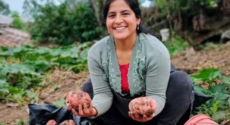 Street Food Free Tour &  Central Market Experience of Lima Peru &mdash; #21