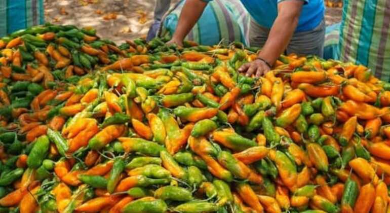 Street Food Free Tour &  Central Market Experience of Lima Peru &mdash; #22