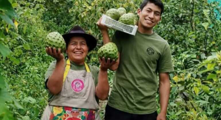 Street Food Free Tour &  Central Market Experience of Lima Peru &mdash; #24