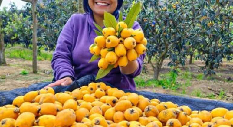 Street Food Free Tour &  Central Market Experience of Lima Peru &mdash; #29