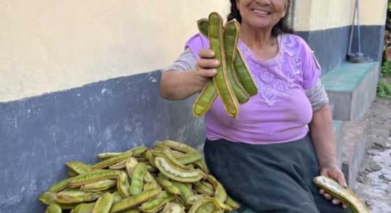 Street Food Free Tour &  Central Market Experience of Lima Peru &mdash; #30