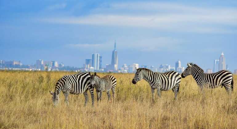 Avventura safari nella città di Nairobi Kenya — #6