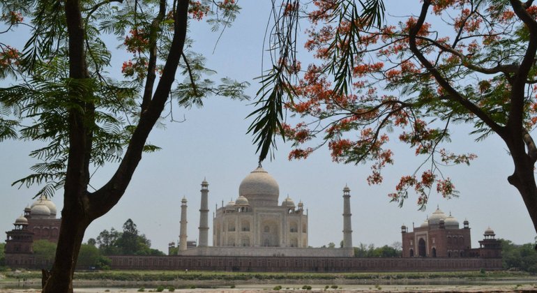 Privater Taj Mahal Ganztagesausflug von Delhi