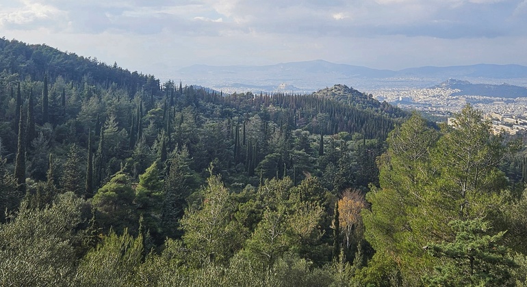 Escursioni ad Atene: Casa del Drago di Imetto Fornito da Natalia Yaroshenko