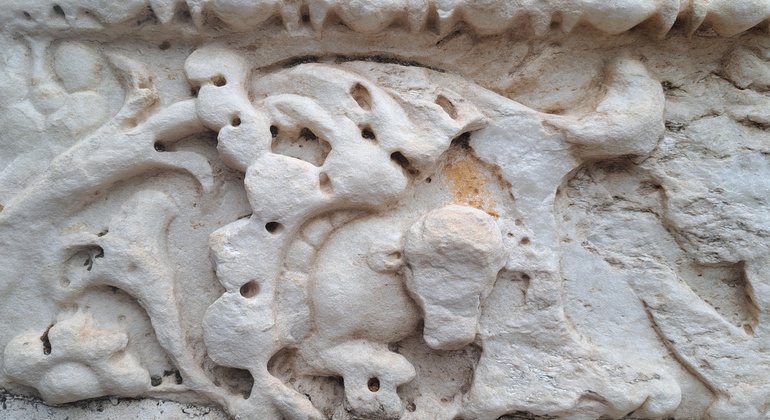 Escursioni ad Atene: Casa del Drago di Ymittos Grecia — #8