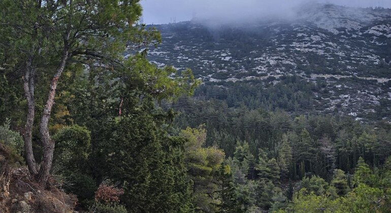 Escursioni ad Atene: Casa del Drago di Ymittos Grecia — #16